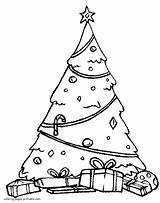 Tree Christmas Coloring Pages Presents Under Printable Holiday Popular Gif sketch template
