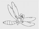 Colorat Libelula Planse Insecte Copii Libelule Bug Fise Desene sketch template