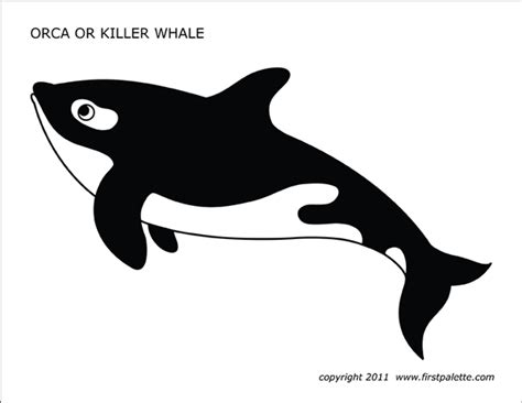 whale  printable templates coloring pages firstpalettecom