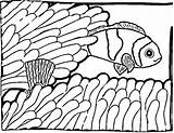 Fish Clown Coloring Pages Color Supercoloring sketch template