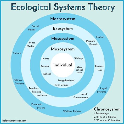 macrosystem examples  ecological systems theory