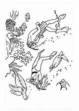 Coloring Dive Diving Plunge Edupics sketch template