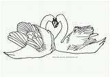 Coloring Swans Swan Duck Pages Heartshaped Popular Kids Coloringbay Coloringhome sketch template