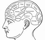 Phrenological Phrenology Psykologi Neuronal Crean Wwwgooglecom sketch template