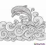 Coloring Dolphin Zentangle sketch template