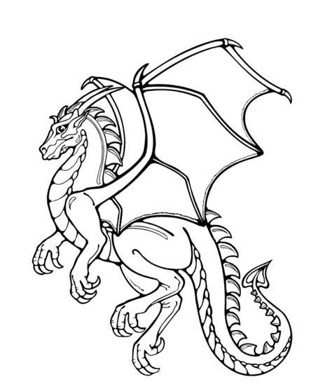 gambar dragon coloring pages adults printable coloringstar  rebanas