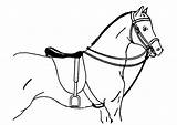Paard Cavallo Pferd Kleurplaat Cheval Malvorlage Caballo Coloriage Dibujo Ensillado Imprimer Chevaux Ausmalbilder Pferde Sellé Dressage Selle Hufeisen Gratis Galop sketch template