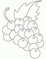 Uvas Weintrauben Grapes Raisin Uva Patrones Caleb Desenho Letzte Malvorlagen Bestcoloringpages sketch template