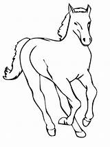 Cai Cavalos Desene Kolorowanki Konie Colorat Pobrania Planse Imagini Qbebe sketch template