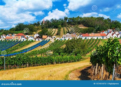 wine route austria stock image image  vineyard people