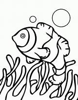 Coral Reef Coloring Pages Barrier Great Drawing Fish Kids Color Print Printable Getdrawings Popular sketch template