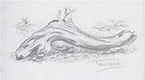 Driftwood Sketch Drawing Paintingvalley Sketches sketch template