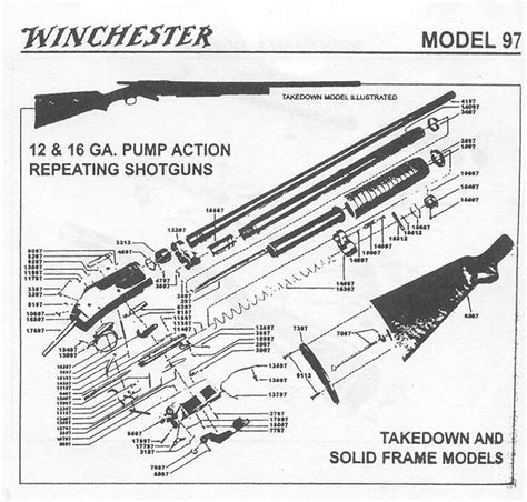 winchester model    shoot  eye