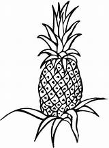 Pineapple Coloring Fruit Pages Clipart Printable Kids Tree Clip Fruits Pineapples Apple Library Baseball Print Extra Collection Clipartmag Field Popular sketch template