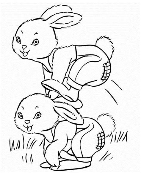 cottontail rabbit coloring pages  coloring pages bunny coloring