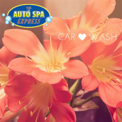 auto spa express home