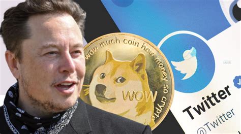 dogecoin price prediction elon musk  add doge payments  twitter