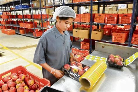 making indias fruit processing industry globally competitive