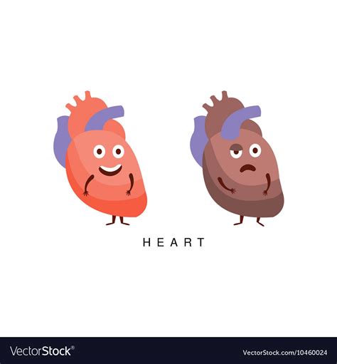 healthy  unhealthy heart infographic royalty  vector