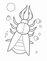 Beetle Bugs Escarabajo Escarabajos Pintarcolorear sketch template