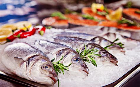 seafood market guide  state seafood market    finsider