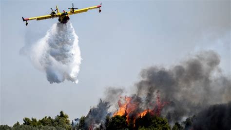 aanwakkerende wind bosbranden teisteren griekenland rtl nieuws