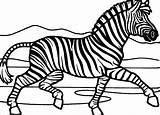 Zebra Coloring Marty Coloringbay sketch template