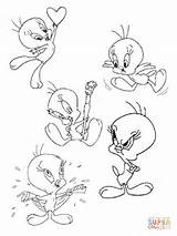 Tunes Looney Coloring Pages Tweety sketch template