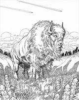 Coloring Buffalo Pages Indian American Native Realistic Adult Animal Bison Mandala Designs Books Drawing Printable Drawings Adults Indians Sketches Book sketch template