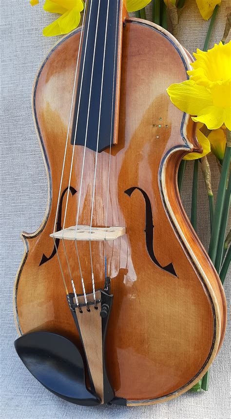 asymmetric  string violin sold tim phillips violins