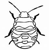 Stink Insect Beetle Insetos Pintar Insects Aphids Designlooter sketch template