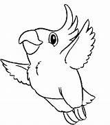 Parrot Coloring Pages Printable Bird Parrots Kids Cute Flying Colour 367e Tao Pet Print Drawings Colouring Clipart Animal Color Bestcoloringpagesforkids sketch template