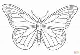 Coloring Butterfly Monarch Pages Printable Drawing sketch template