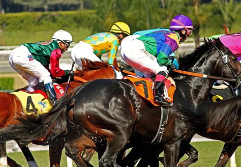 thoroughbred racing industry reaches  pivotal moment horse nation