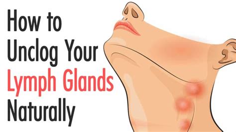 How To Unclog Your Lymph Glands Naturally Lymph Glands Lymph Massage