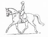 Paard Kleurplaat Ruiter Dressage Paarden Heste Tegninger Rytter Realistic Caballos Outlines Kleurplaten Kone Printen Perspectiva Omnilabo Springend Te Tatuajes sketch template
