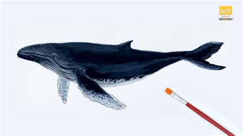 draw  whale ii blue whale drawing ii artjanag youtube