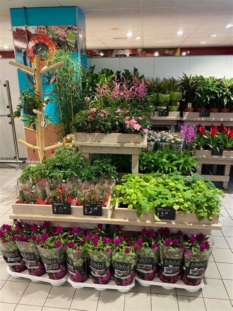 voor de mooiste bloemen en planten deen supermarkten facebook