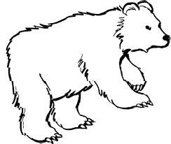 image result  wild animals colouring pages bear coloring pages