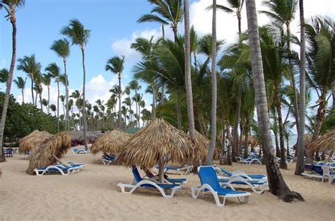 Dominican Republic Hotels Will Request An Affidavit Of