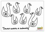 Swimming Swans Seven Christmas Colouring Pages Coloring 7th Advent Seen Too Other Kiddycharts sketch template