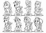 Patrol Paw Chase Coloring Pages Getdrawings sketch template