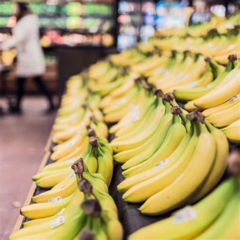 El éxito Sostenido De Las Exportaciones De Banano De Costa Rica Un