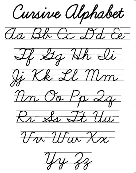 pin  noelle bouman  school  cursive alphabet cursive