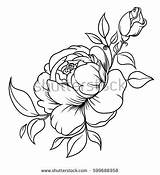Rosebud Coloring Designlooter Bouquet Element Inflorescence Roses Vector Line Decor Style sketch template