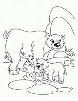 Coloring Animals Pages Bear Mother Cub Baby Their Babies Cubs Father Polar Young Ones His Drawing Logo Chicago Kids Waiting sketch template