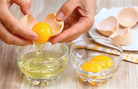 separate egg yolk  white  proven ways wiki avenue