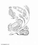 Crab Shellfish sketch template