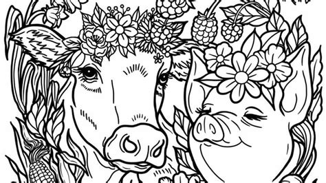 fun coloring pages  valuable programs  children