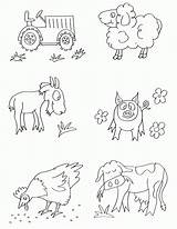 Coloring Cow Sheep Pig Goat Farm Animals Chicken Tractor sketch template